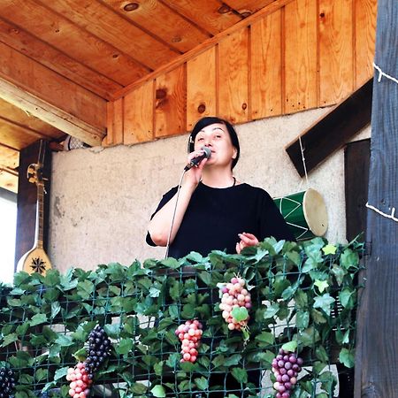 Nadia Guesthouse ميستيا المظهر الخارجي الصورة