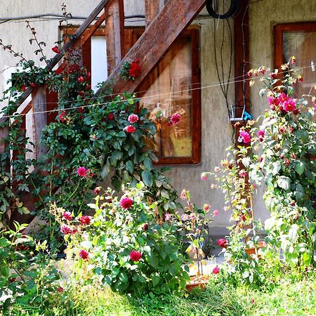 Nadia Guesthouse ميستيا المظهر الخارجي الصورة